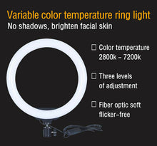 Load image into Gallery viewer, Ring Fill Light Dimmable with Stand Phone Clip 8“/10”/12“
