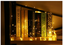 Charger l'image dans la galerie, Battery Powered Copper Wire Fairy Lights 50 Lights 5 Meters
