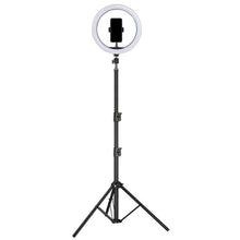 Load image into Gallery viewer, Ring Fill Light Dimmable with Stand Phone Clip 8“/10”/12“