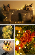 Load image into Gallery viewer, Copper Wire Fairy Lights Night Light Warm/Colour 20 LED 2Meters
