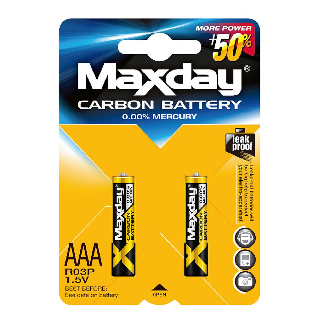 Maxday 24pcs Zinc Carbon AAA Batteries